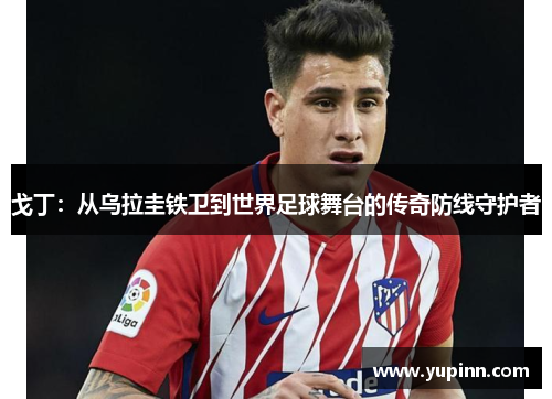 戈丁：从乌拉圭铁卫到世界足球舞台的传奇防线守护者