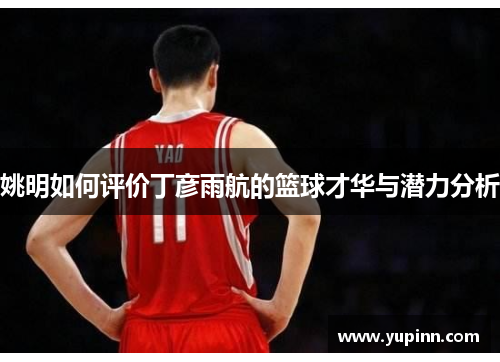 姚明如何评价丁彦雨航的篮球才华与潜力分析